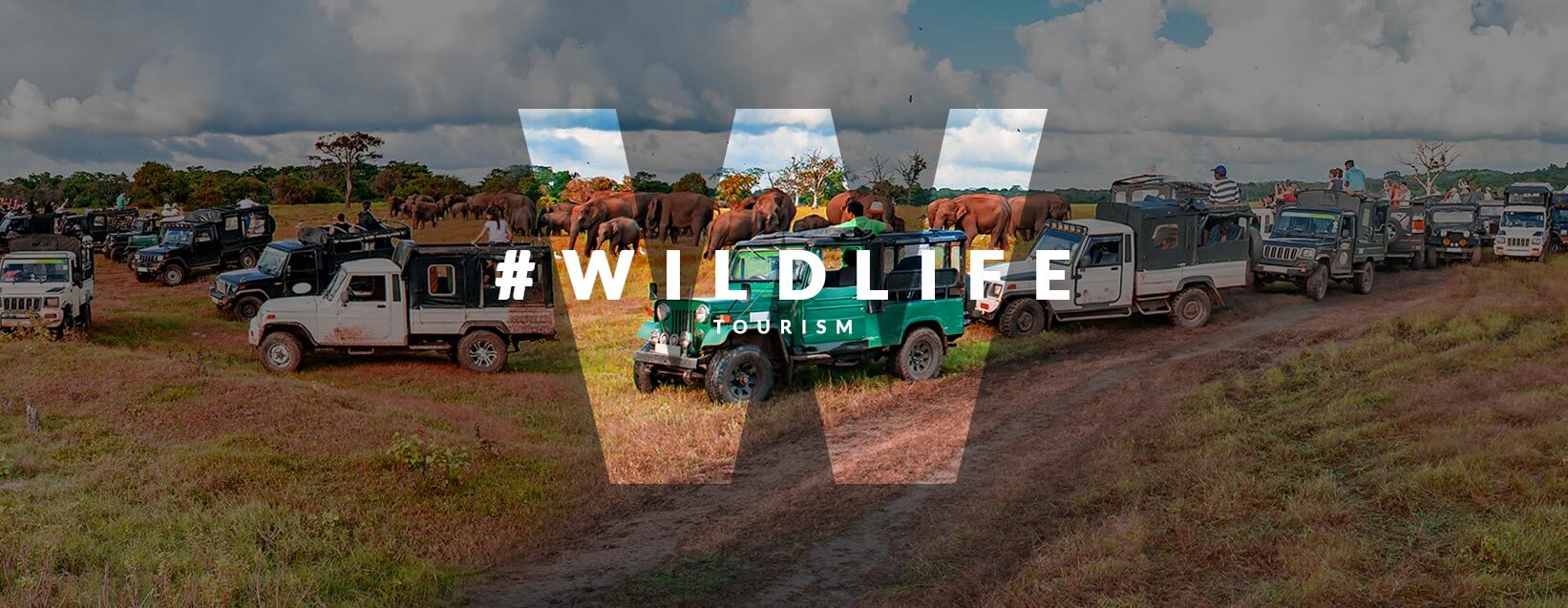 Wildlife